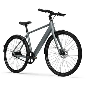 Bicicletta elettrica Tenways CGO600 Pro image-1