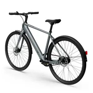 Bicicletta elettrica Tenways CGO600 Pro image-2