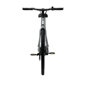 Bicicletta elettrica Tenways CGO600 Pro image-3