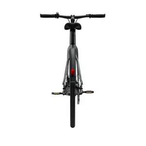 Bicicletta elettrica Tenways CGO600 Pro image-4