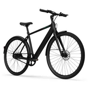 Bicicletta elettrica Tenways CGO600 Pro image-1