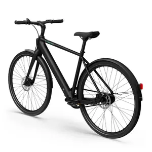 Bicicletta elettrica Tenways CGO600 Pro image-2