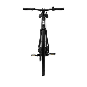 Bicicletta elettrica Tenways CGO600 Pro image-3
