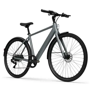 Bicicletta elettrica Tenways CGO600 Plus image-1