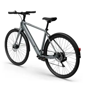 Bicicletta elettrica Tenways CGO600 Plus image-2