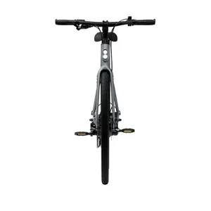 Bicicletta elettrica Tenways CGO600 Plus image-3