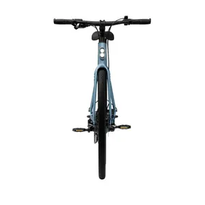 Bicicletta elettrica Tenways CGO600 Plus image-3