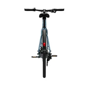 Bicicletta elettrica Tenways CGO600 Plus image-4