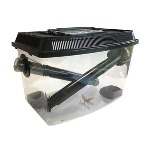 Cricket storage box Terra Della