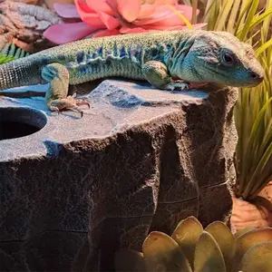 Reptile shelter Terra Della Rocher image-2