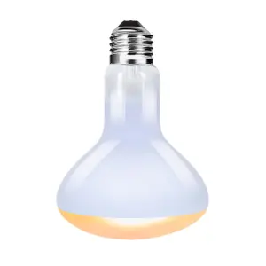 Ampoule für tagaktive Echsen Terra Della