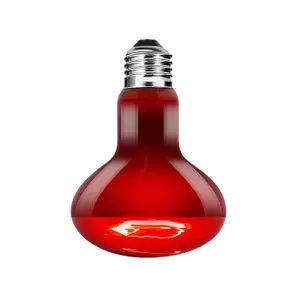 Infrared Lizard Heat Lamp Terra Della