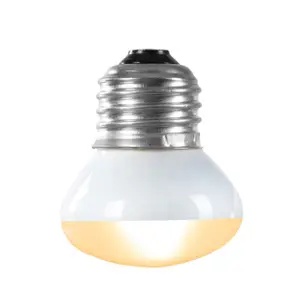 Ampoule for basking Terra Della