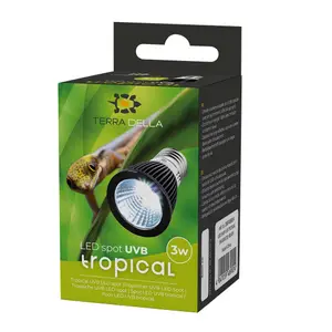 Lampe Terra Della Tropicale image-1