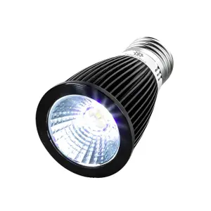 Lampe Terra Della Désert
