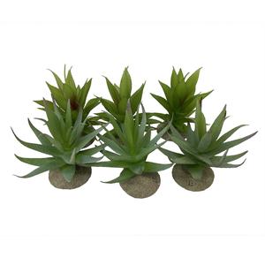 242-465899-decorative-aloe-for-terrarium-terra-della-mixed-colors-12x11x11-5-cm