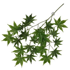 243-470404-plante-suspendue-terra-della-nandina-vert-65x35x1-5-cm