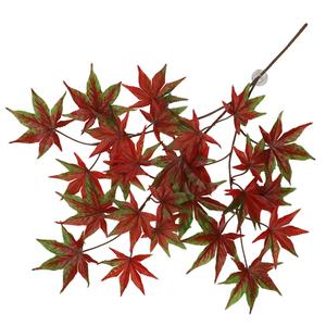 243-470428-plante-suspendue-terra-della-nandina-vert-marron-65x35x1-5-cm