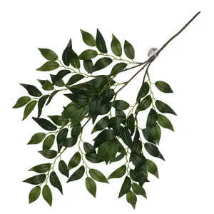 243-470466-hangande-vaxt-for-akvariedekoration-terra-della-aralia-gron-60x30x6-cm