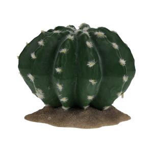 243-482698-terrarium-accessories-terra-della-echinocactus-green