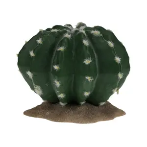 243-482698-tillbehor-for-terrarium-terra-della-echinocactus-gron