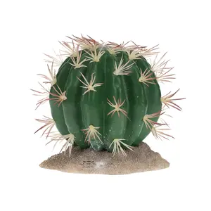Terrarium accessories Terra Della Echinocactus
