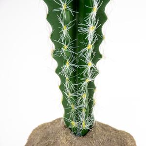 Cylindrical cactus terrarium decoration Terra Della image-4