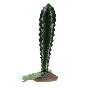 Cylindrical cactus terrarium decoration Terra Della image-6