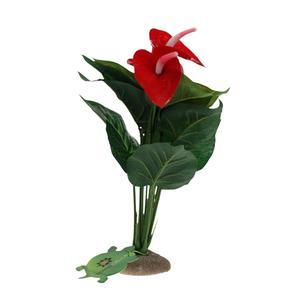 Anthurium aquarium decoration Terra Della image-1