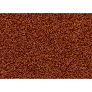 Προϊόν καθαρισμού Tetra Sterlet image-1