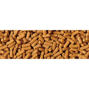 product/t/e/tetra_396211_1.jpg