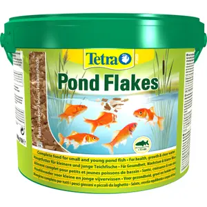 Produtos de manutenção Tetra Flakes image-0