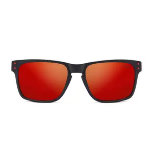 24-029-03-un-sonnenbrille-the-indian-face-freeride-schwarz-rot-tu