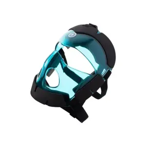 Face mask The Indian Maharadja Corner image-1