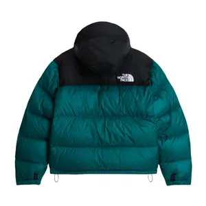 Dunjacka The North Face 1996 Retro Nuptse image-1