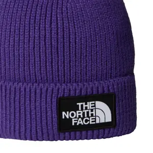Sapka The North Face Logo Box image-1