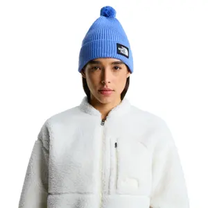 Sapka The North Face Logo Box Pom image-1
