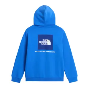 Sweatshirt à capuche enfant The North Face Evolution Box NSE image-1