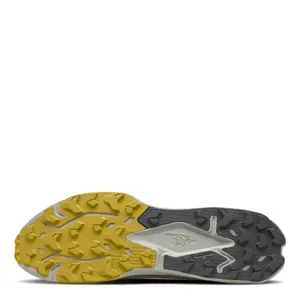 Běžecké boty do terénu The North Face Altamesa 500 V2 image-3