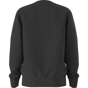 Sudadera niño The North Face Evolution Simple Dome image-1