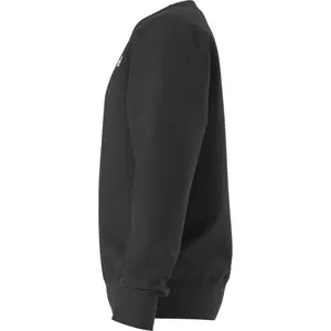 Sudadera niño The North Face Evolution Simple Dome image-3