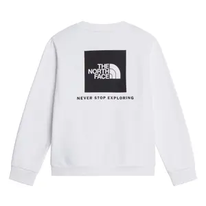 Sudadera niño The North Face Evolution Box NSE image-1