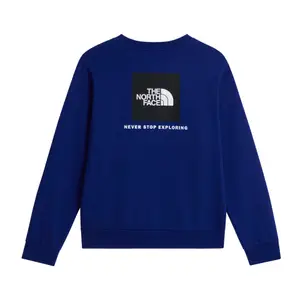Sudadera Regular The North Face Evolution Box NSE image-3