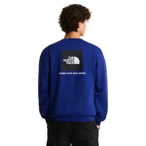 Sudadera Regular The North Face Evolution Box NSE image-4