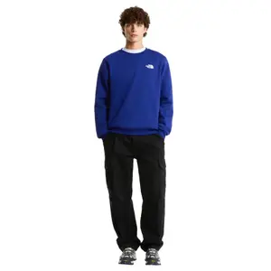 Sudadera Regular The North Face Evolution Box NSE image-2