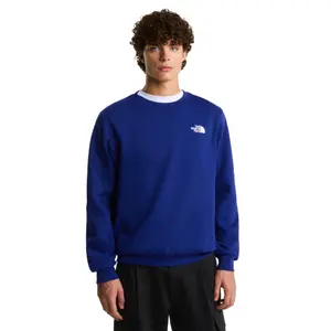 Sudadera Regular The North Face Evolution Box NSE image-1