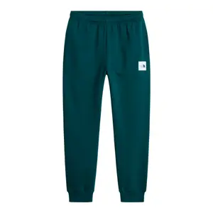 Pantalon de jogging The North Face Evo Box Half Dome