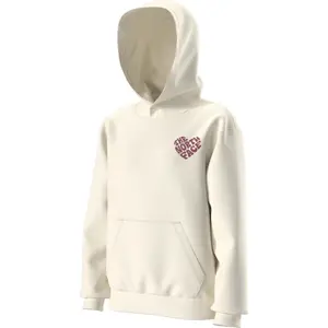Casual Hoodie for Girls The North Face Brand Proud GRA image-1