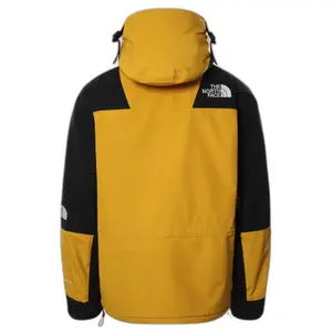 Jas The North Face 1994 Retro Mountain Light Futurelight image-3