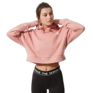 Damen-Sweatshirt The North Face Trend Crop image-2